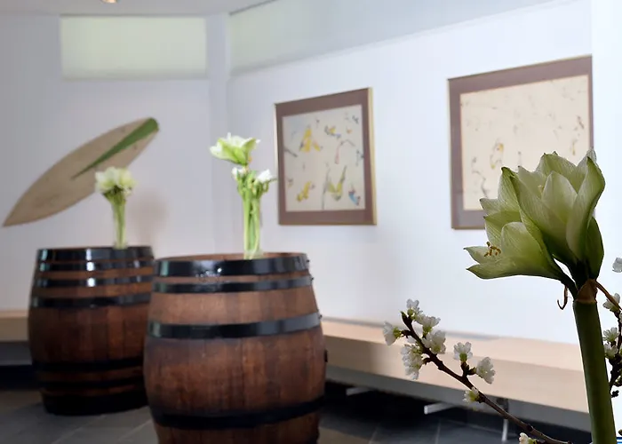 Dormero Duesseldorf 埃克拉特