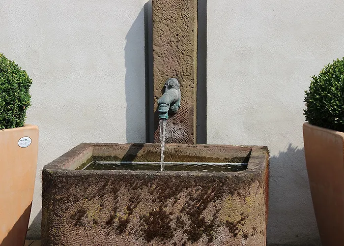 Dormero Duesseldorf Hotell Erkrath