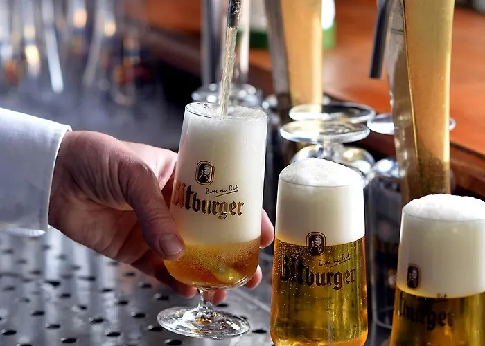 Hotell Dormero Duesseldorf 4*